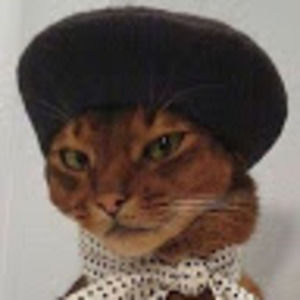 Meet your Posher, Diamante